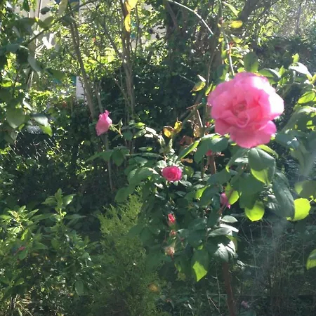 Bed & Breakfast Casa Margherita *
