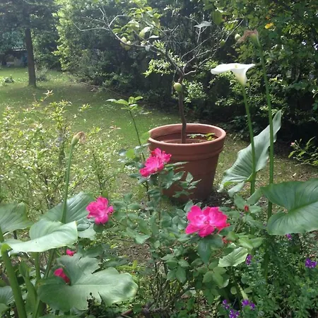 Bed & Breakfast Casa Margherita Senigallia